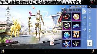 【购买入口车币返厂皮肤