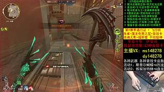 裁决皮肤/召集币/通行证/十年/CF点