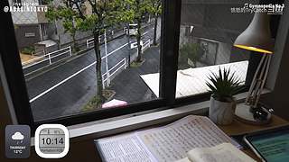 重生之奋发涂墙