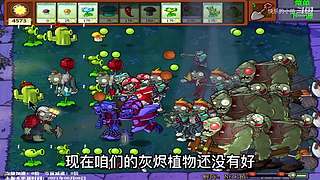 宝子们，开席了！