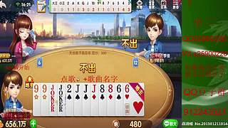 七雀七雀我来了