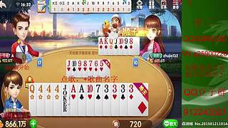 七雀七雀我来了