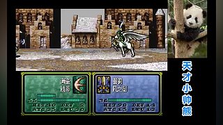 天才小帅熊的直播间