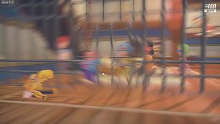 俯冲开始了 3836180