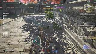 毛里求斯国1男枪