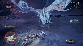 猫五度的四个神选气息