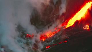 [大自然纪录片]24小时轮播