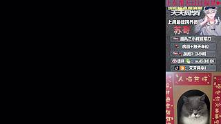 12月，加油！带粉/帮打