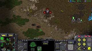 mtn猴子星际争霸