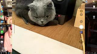 她下播了，可以来看我吗