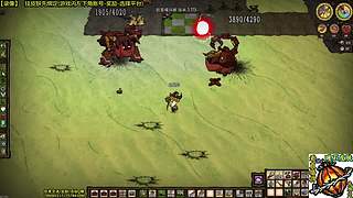 测试版已更新 饥荒小明鸽i