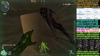 包姐10年/荣耀世冠/信用分/6烈6盘