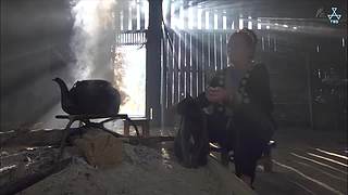 猫步走世界，萌宠24小时轮播