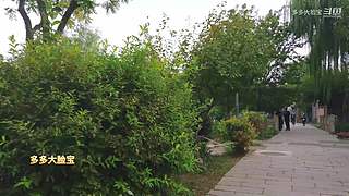 大脸宝带你玩景点，听故事