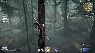 阿度国洛洛公主游塔记