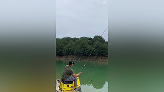 亮gnailux的直播间