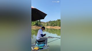 亮gnailux的直播间