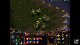 诸葛酒神曲的直播间