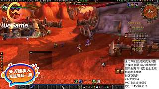 办卡看号 论剑 神思萌新攻略