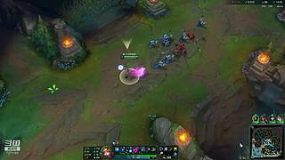 早期猫咪驯服野生猫爬架记录