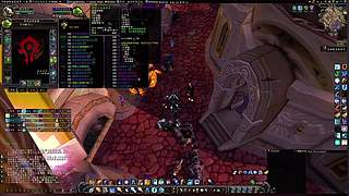 尘泥沼泽遭遇战！德鲁伊变熊扛伤