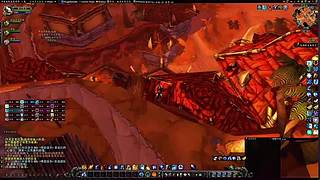 尘泥沼泽遭遇战！德鲁伊变熊扛伤