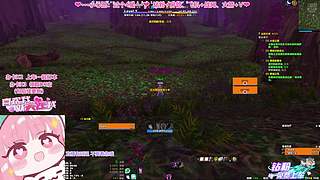 时光2联盟 继续练小号