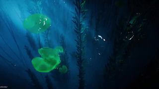 游戏我是真期待