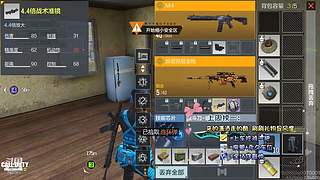 国服第一AKS大师小菜鸡