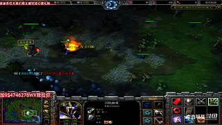 魔兽达尔文进化岛直播间