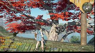 弈仙牌 这就是灵气灌身的感觉吗