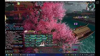 【难民灯灯】武学助手副本扫荡中