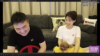 老高与小茉系列剧