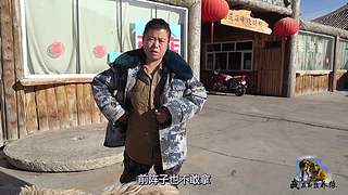 【狼王出没】欢迎围观我的新疆养狼日常！