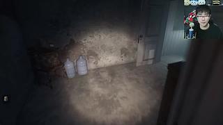 【神戳戳的苏神】各类恐怖游戏解说流程实况