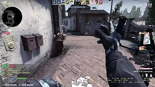 【人道洛阳花似锦】偏我来时不逢春