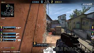 【人道洛阳花似锦】偏我来时不逢春