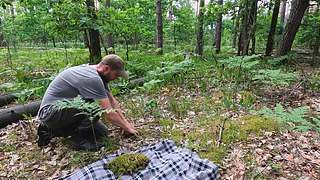 户外丛林生存轮播