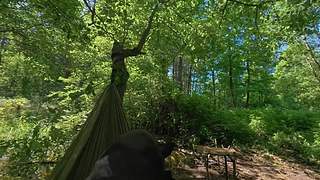 户外丛林生存轮播