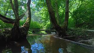 户外丛林生存轮播