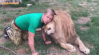 直接把狮子推下水！俄罗斯饲养员太勇敢了