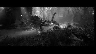 主播开荒中，有老司机来带带路没？