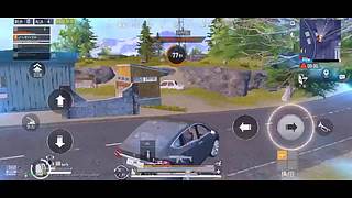 小白多多关照 9164531