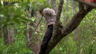 荒野求生，带大家体验不一样的生活