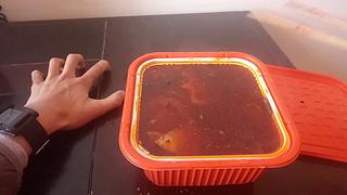 瑞子Astor的直播间