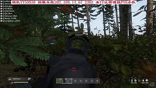 Dayz张鱼，一起玩