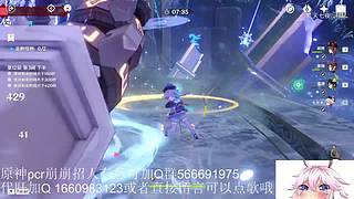 开始养老，mhy的老年韭菜