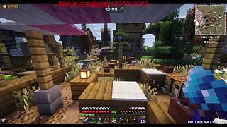 重生之我在mc种田暴富