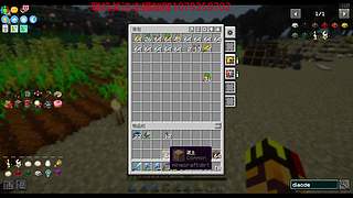 重生之我在mc种田暴富