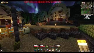 重生之我在mc种田暴富